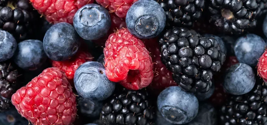 From Farm to Table: How Atayeb Brings Freshness to Your Plate